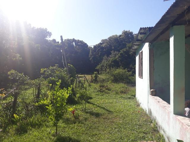 LCód: 21 Mini Sítio (Área Rural) - em Tamoios - Cabo Frio/RJ - Centro Hípico - Foto 5