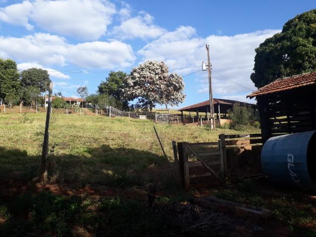 Excelente sítio de 8,64 hectare em Ponto Chic (Patos de Minas/MG) - Foto 7