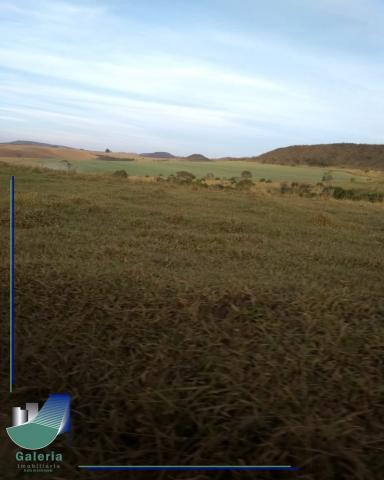 Sítio à venda em Zona rural, Araxa cod:FA01046 - Foto 3