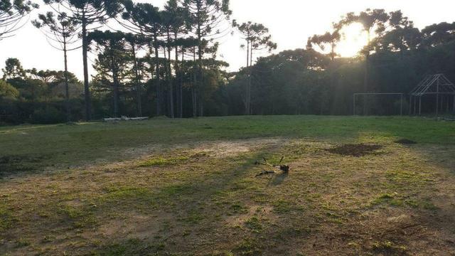 Troca por apartamento em Curitiba - Foto 6