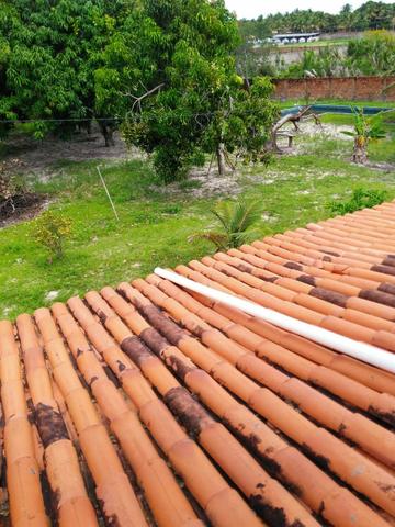 Sitio ótimo para morar e produzir ! - Foto 9