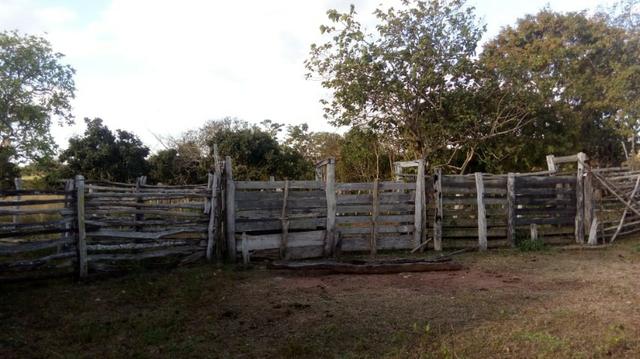 Sitio na Região de Jangada - Foto 3