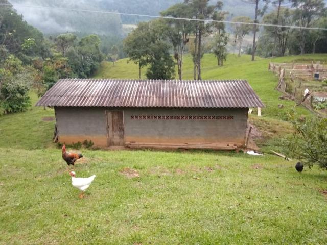 Lindo sítio em Itaiópolis - Foto 11
