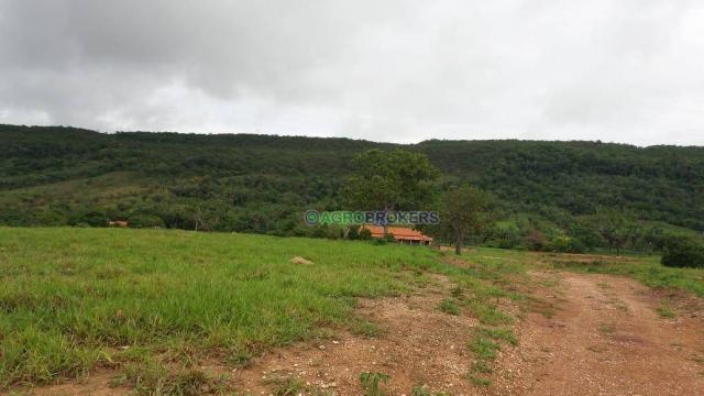 Sítio 19,5 ha em serra de são vicente - Foto 10
