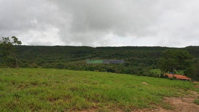 Sítio 19,5 ha em serra de são vicente - Foto 9