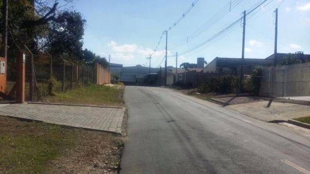Terreno à venda, 459 m² por r$ 450.000 - boneca do iguaçu - são josé dos pinhais/pr - Foto 4