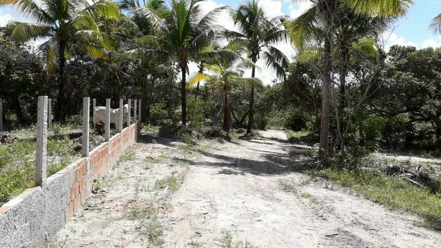 Vendo ou Troco Lotes 10x20 em Itamaracá - Foto 3