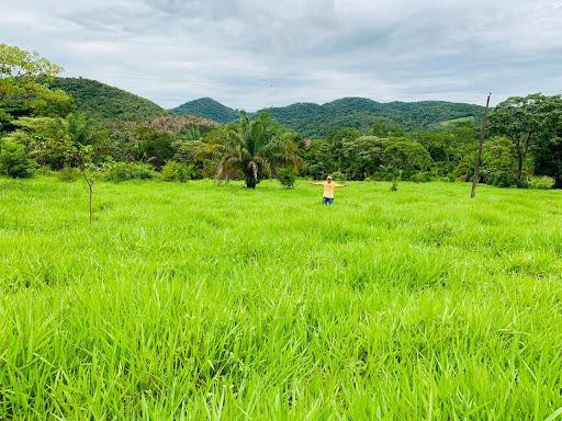 Sítio 26 hectares região da serra são vicente