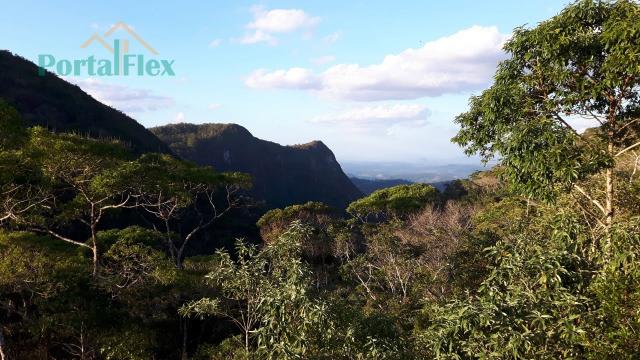 Sítio à venda com 0 dormitórios em Zona rural, Santa teresa cod:4229 - Foto 3