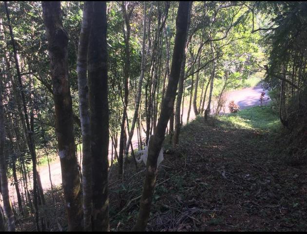 Ótima oportunidade de terreno - Foto 3
