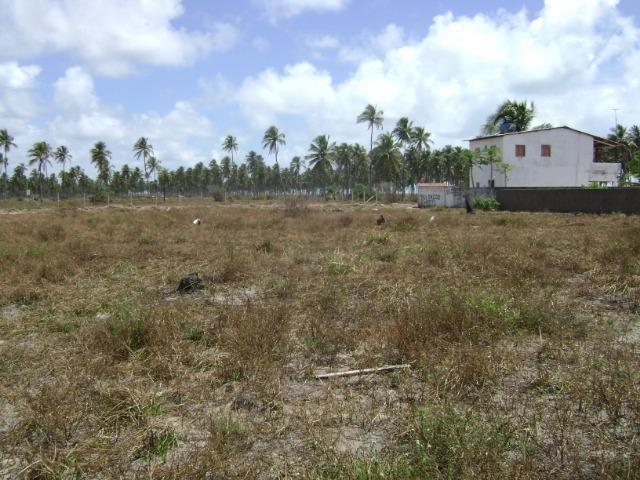 Terreno em Aver-o-mar (Barra de Sirinhaém) - Foto 3