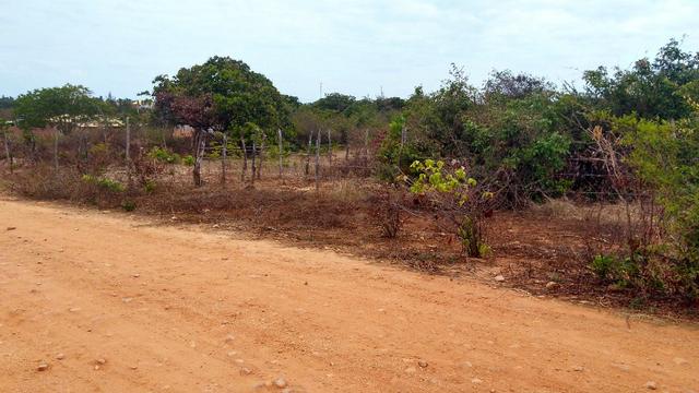 Lote 15x50m na praia da Caponga - Foto 9