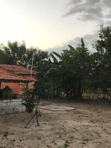 Sítio de 60Hectares a 13Km da Cidade do Buriti dos Lopes. (140mil) - Foto 12