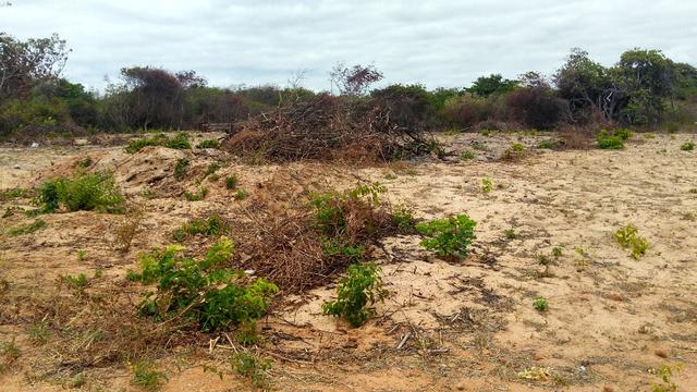 Lote 15x50m na praia da Caponga - Foto 15