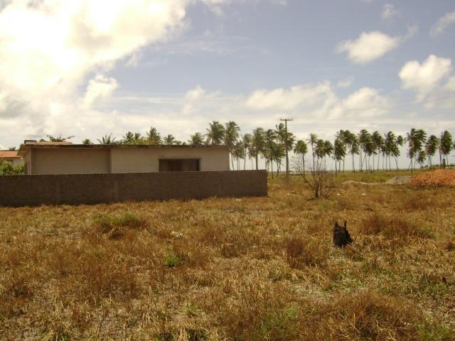 Terreno em Aver-o-mar (Barra de Sirinhaém) - Foto 2