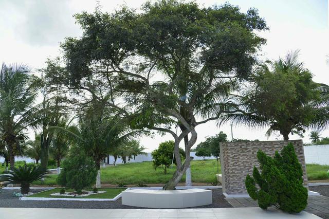 Nosso lar eventos - Foto 15