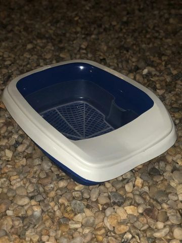 Caixa de areia para gatos