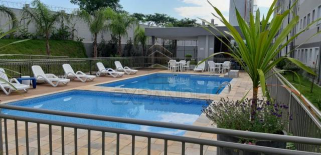 Apartamento para alugar com 2 dormitórios em Jardim veneto ii, Sertaozinho cod:L1376 - Foto 12