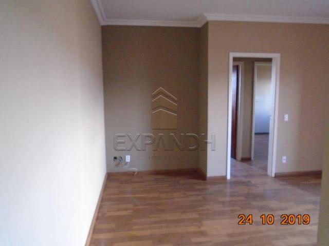 Apartamento para alugar com 2 dormitórios em Jardim sao jose, Sertaozinho cod:L1256 - Foto 12