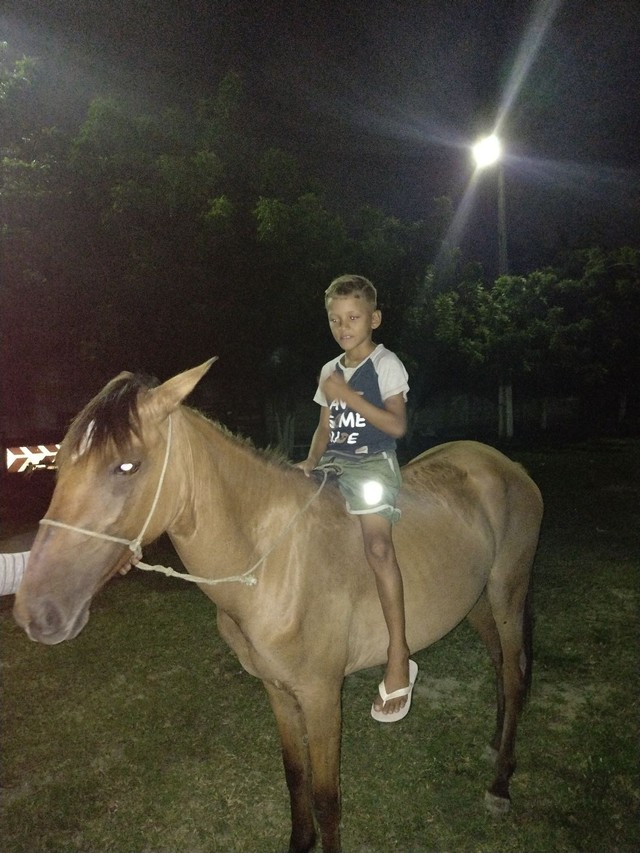 Vendo ou troco um cavalo de 4 anos e uma polda de 2 anos. 