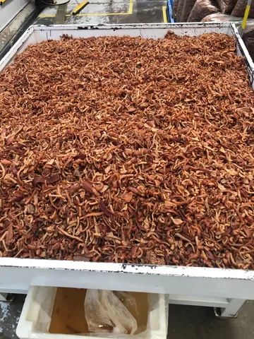PELLETS PARA PRODUÇÃO DE TORRESMO