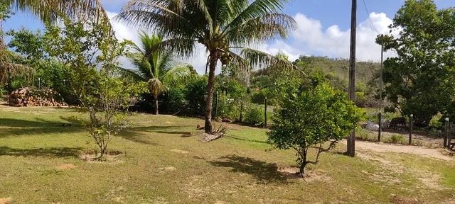 Sítio lindo em Araçás- Bahia  - Foto 6