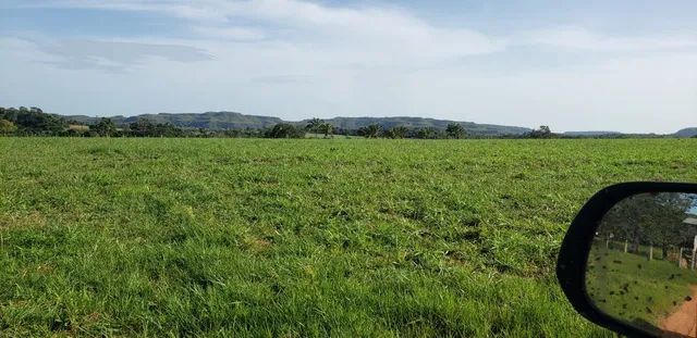 Fazenda em Campos Lindos. 66 mil por alqueire.