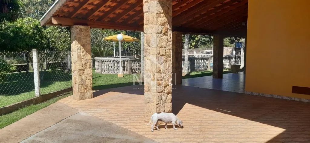 Venda de Casas / Chácara na cidade de Ipeúna - Foto 3