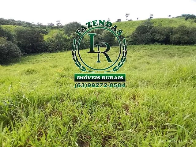 Chácara/Fazenda 11 alqueires  Próximo a Palmas - Foto 6
