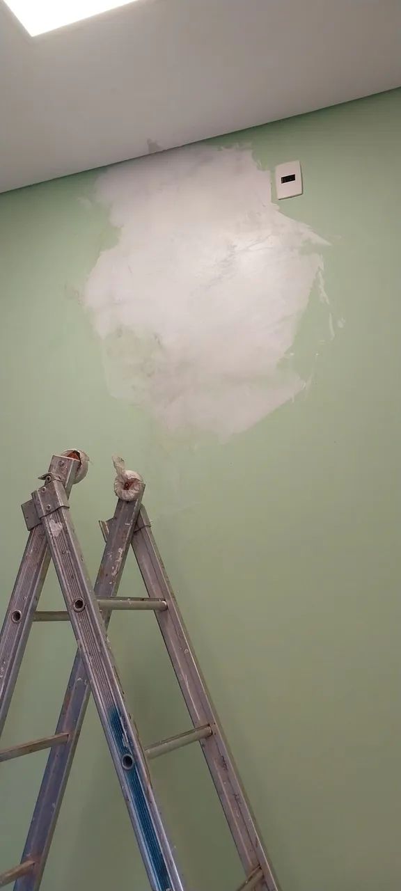 Sou pintor profissional  - Foto 2