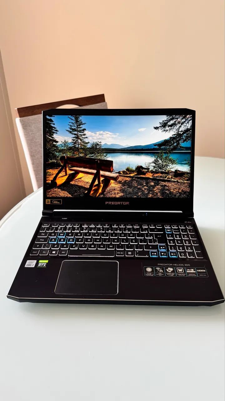 Acer Predator Helios 300 Notebook64296908983681120