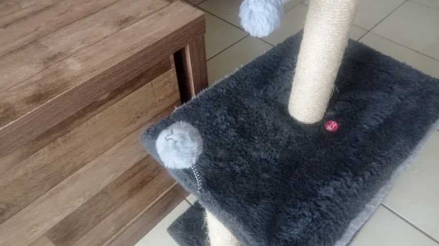 Arranhador e Toca para Gatos - Foto 3