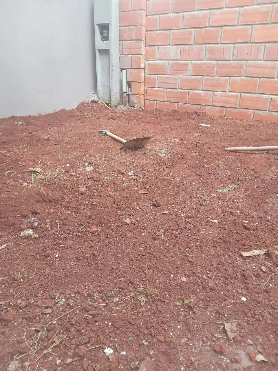 Jardinagem família