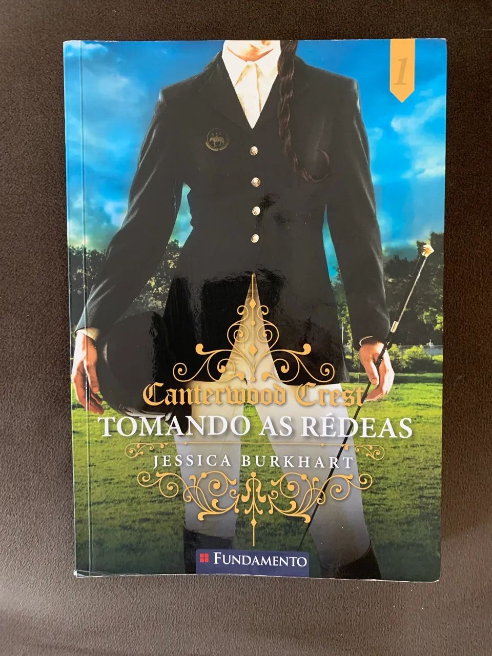 Livro Tomando as rédeas 