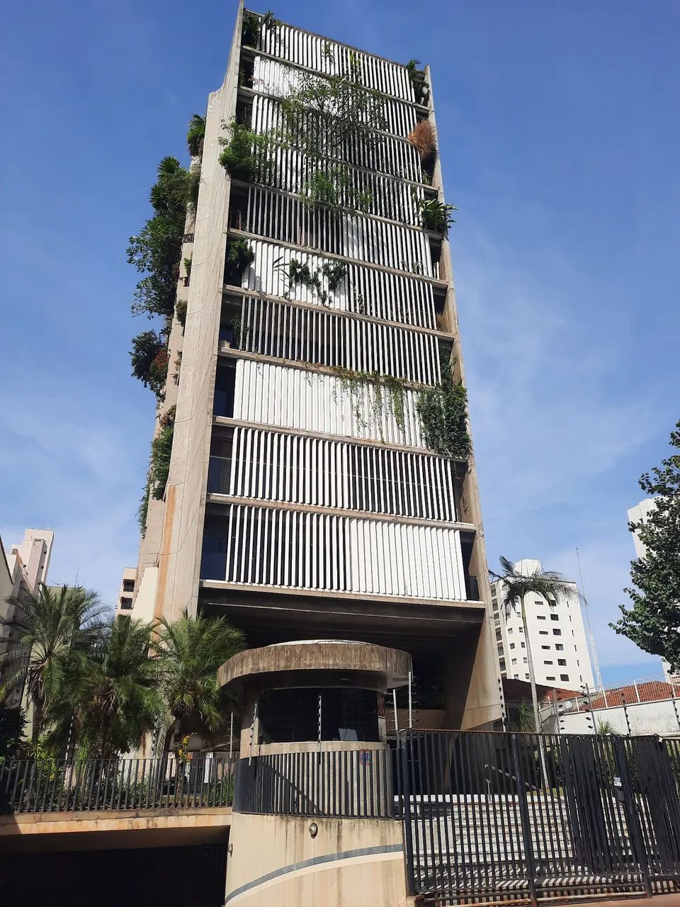 Foto - São José do Rio Preto - Centro