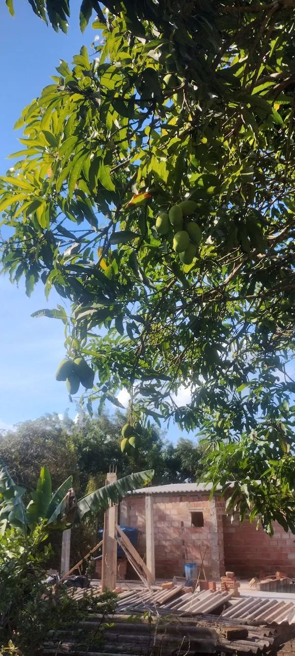 Lote com registro, escritura e número da rua  - Foto 4