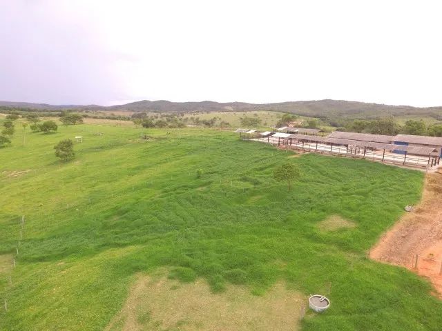 Fazenda 220 hectares  - Foto 4