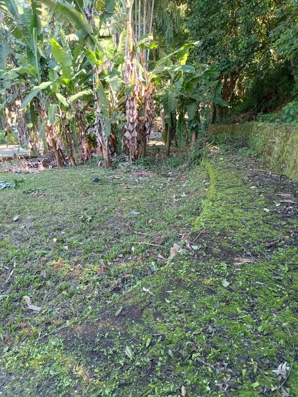 TERRENO SOLAR DE ITACURUÇA - Foto 4
