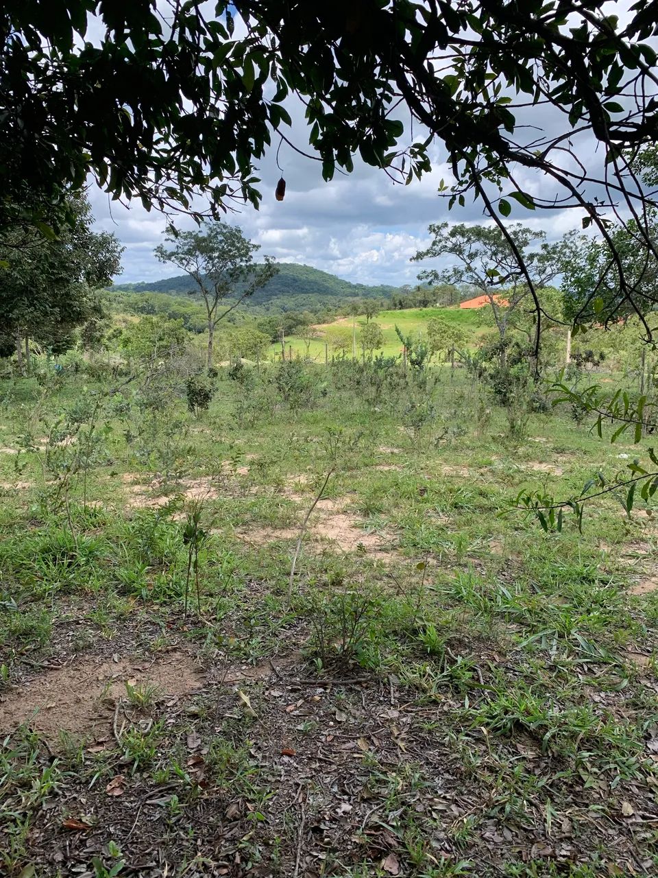 Foto - Santa Luzia - Colorado