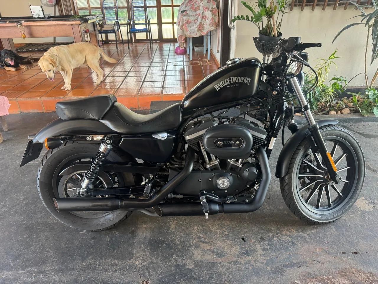 Harley Davidson XL 883 - Foto 4