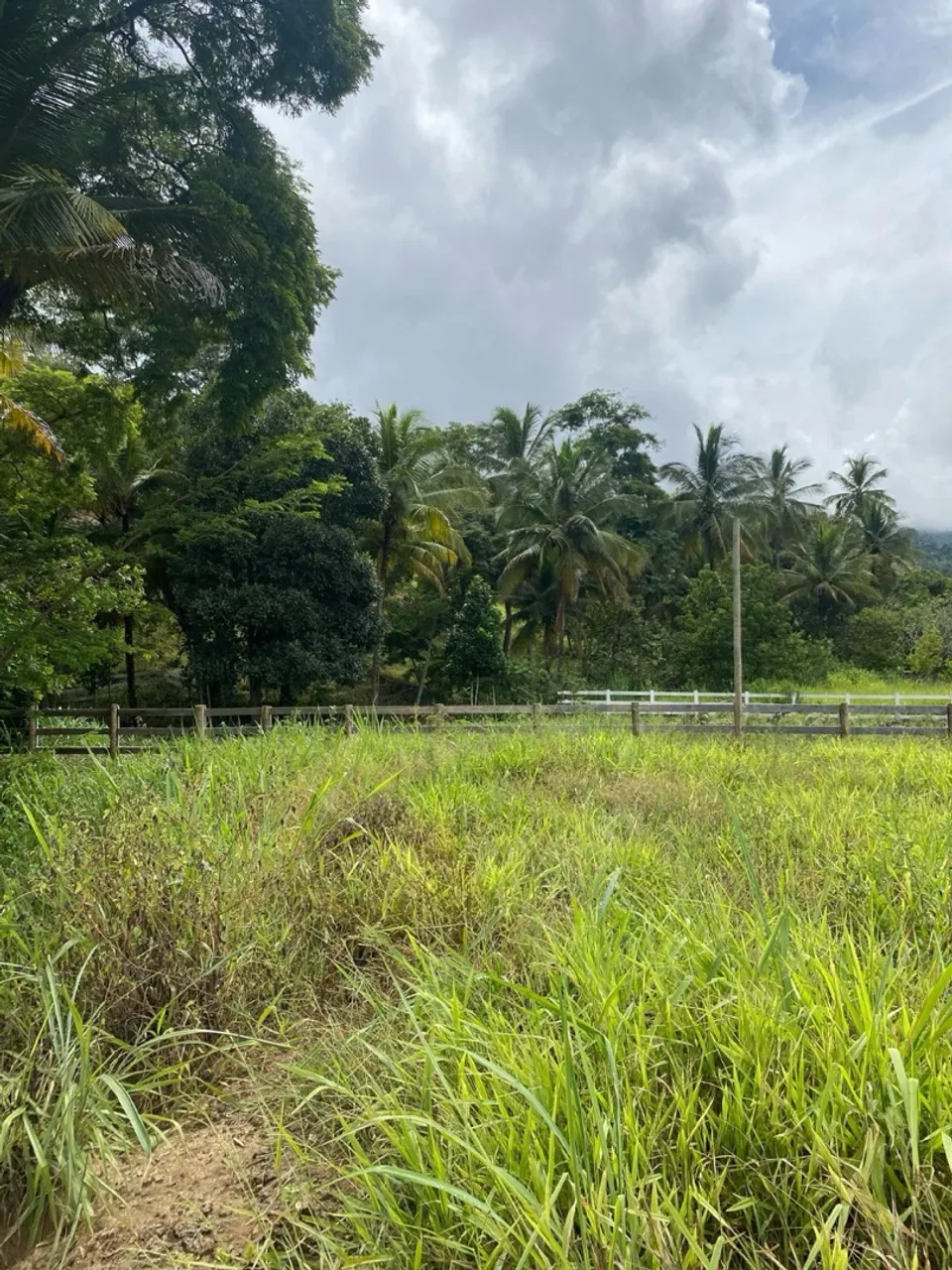 Chácara à venda em Baixo Guandu - ES | 2.290 m²