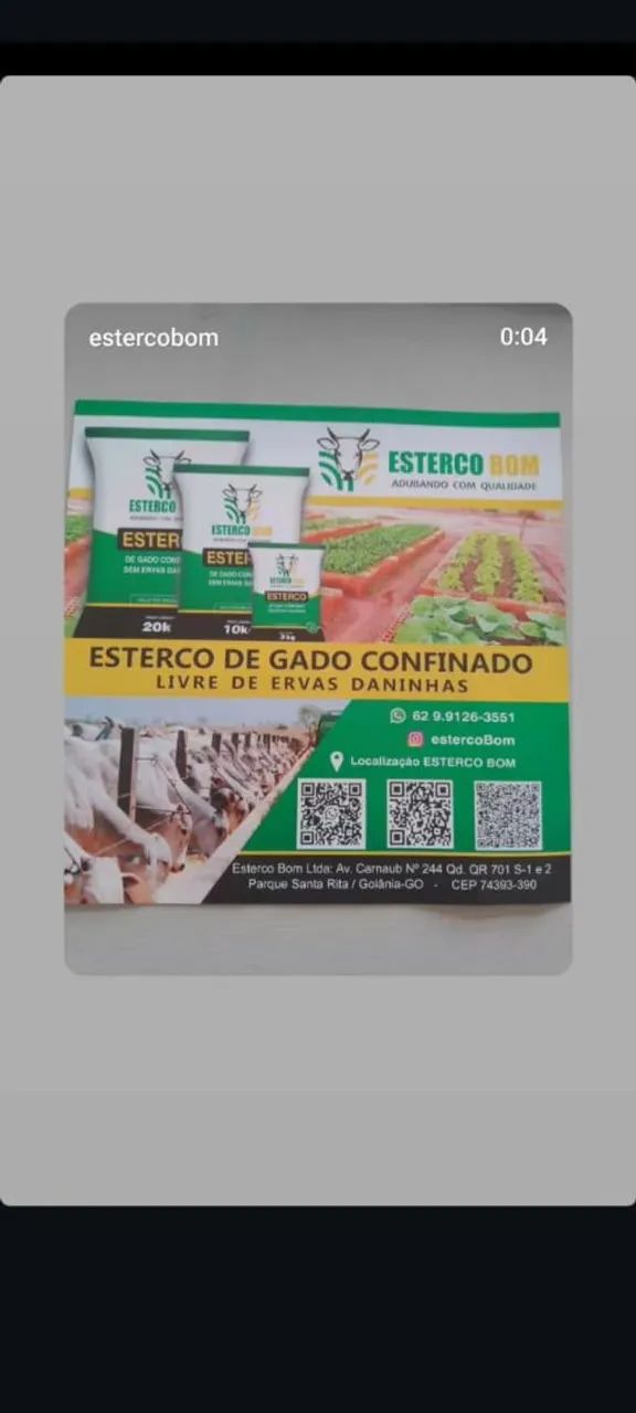 Esterco Bovino 