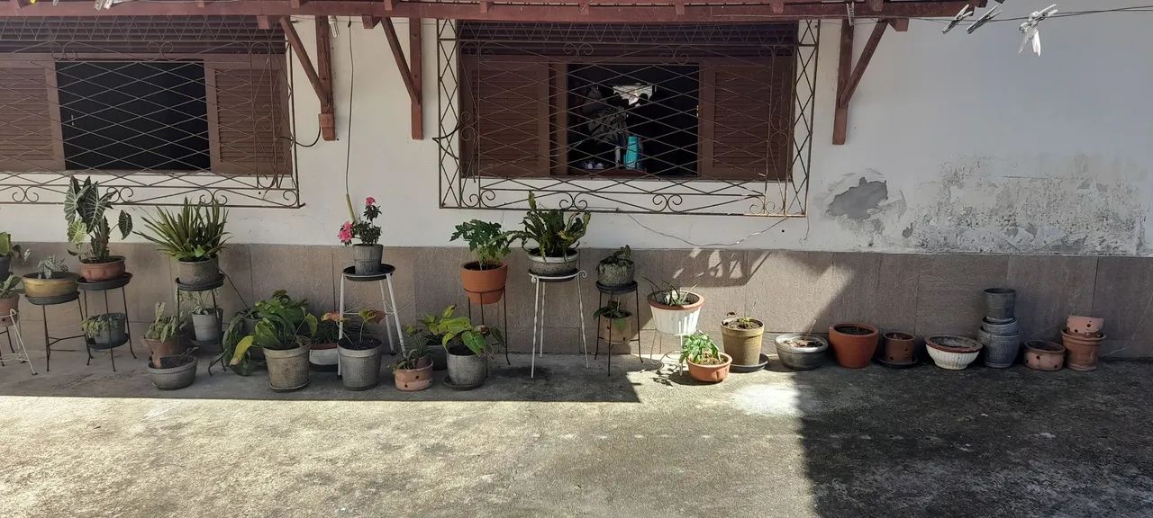 Vasos de planta e Tripés em ótimo estado - Foto 2