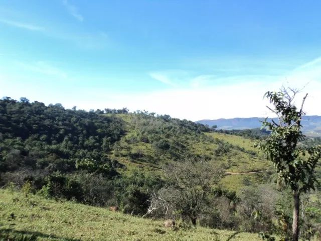 Mateus Leme - Terreno - 20.000 m² - R$ 20.000,00 de entrada - Foto 3