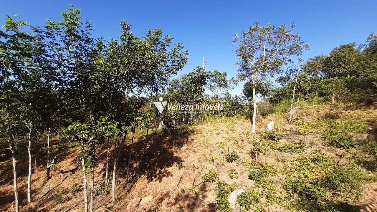 Terreno no povoado nova olinda para venda
