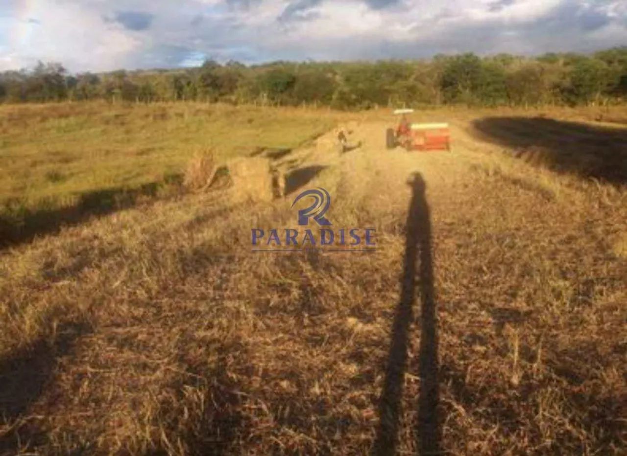 Fazenda, Zona Rural, Morro do Chapéu - R$ 2 mi, Cod: 68638 - Foto 5