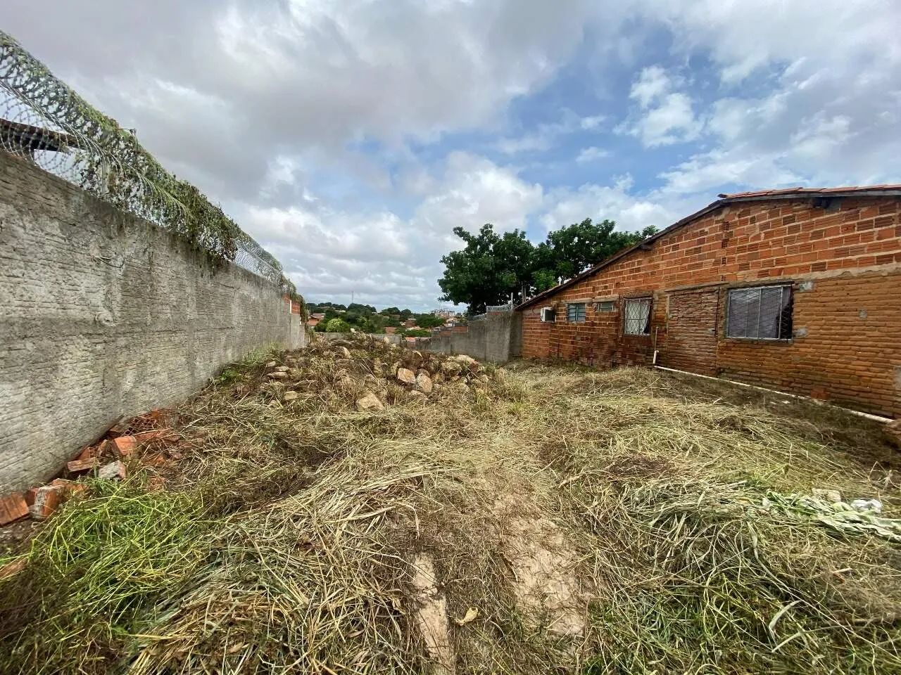 Terreno - Aluguel - Foto 2