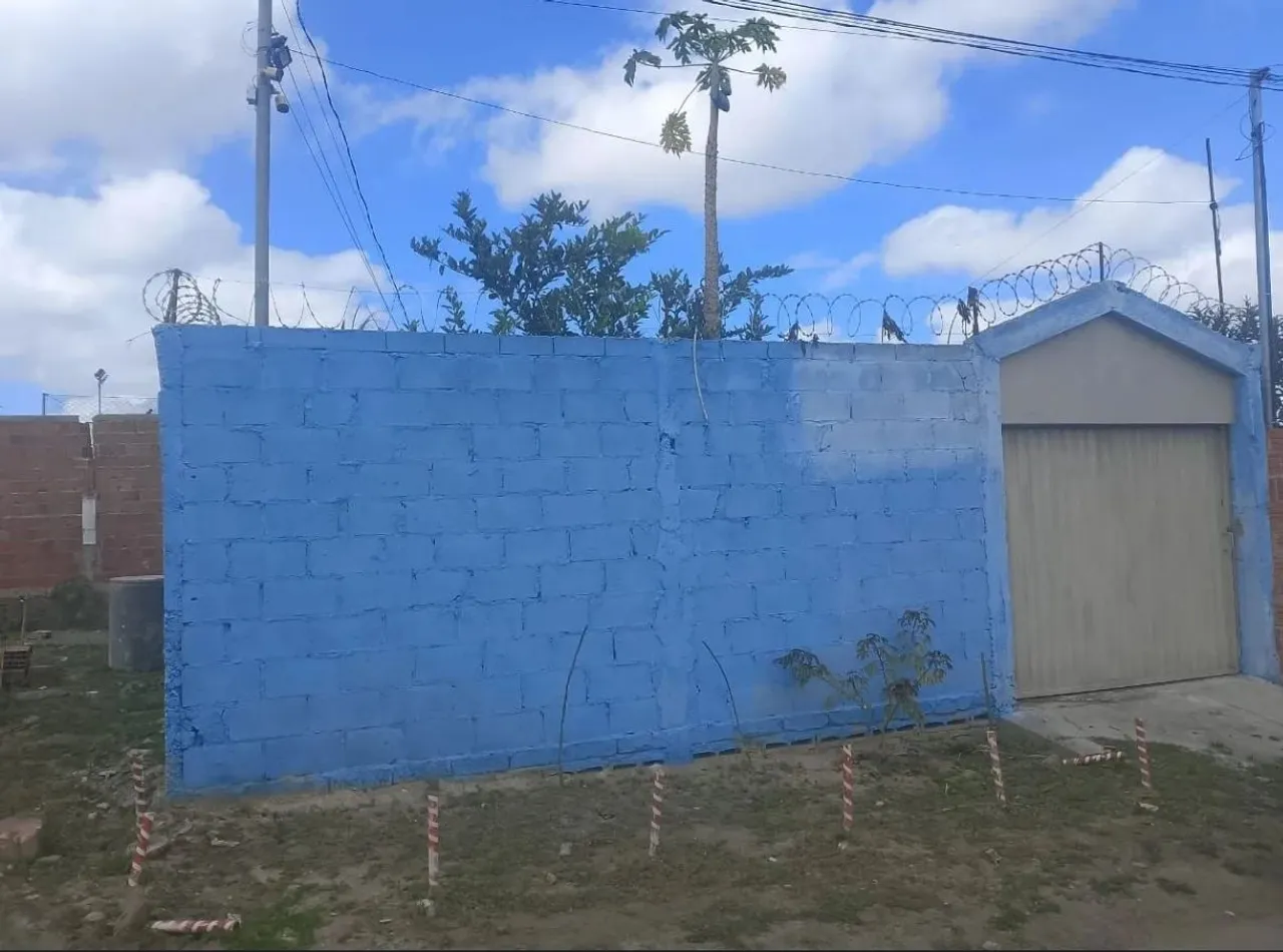 Vende-se mime chácara no sítio lucas