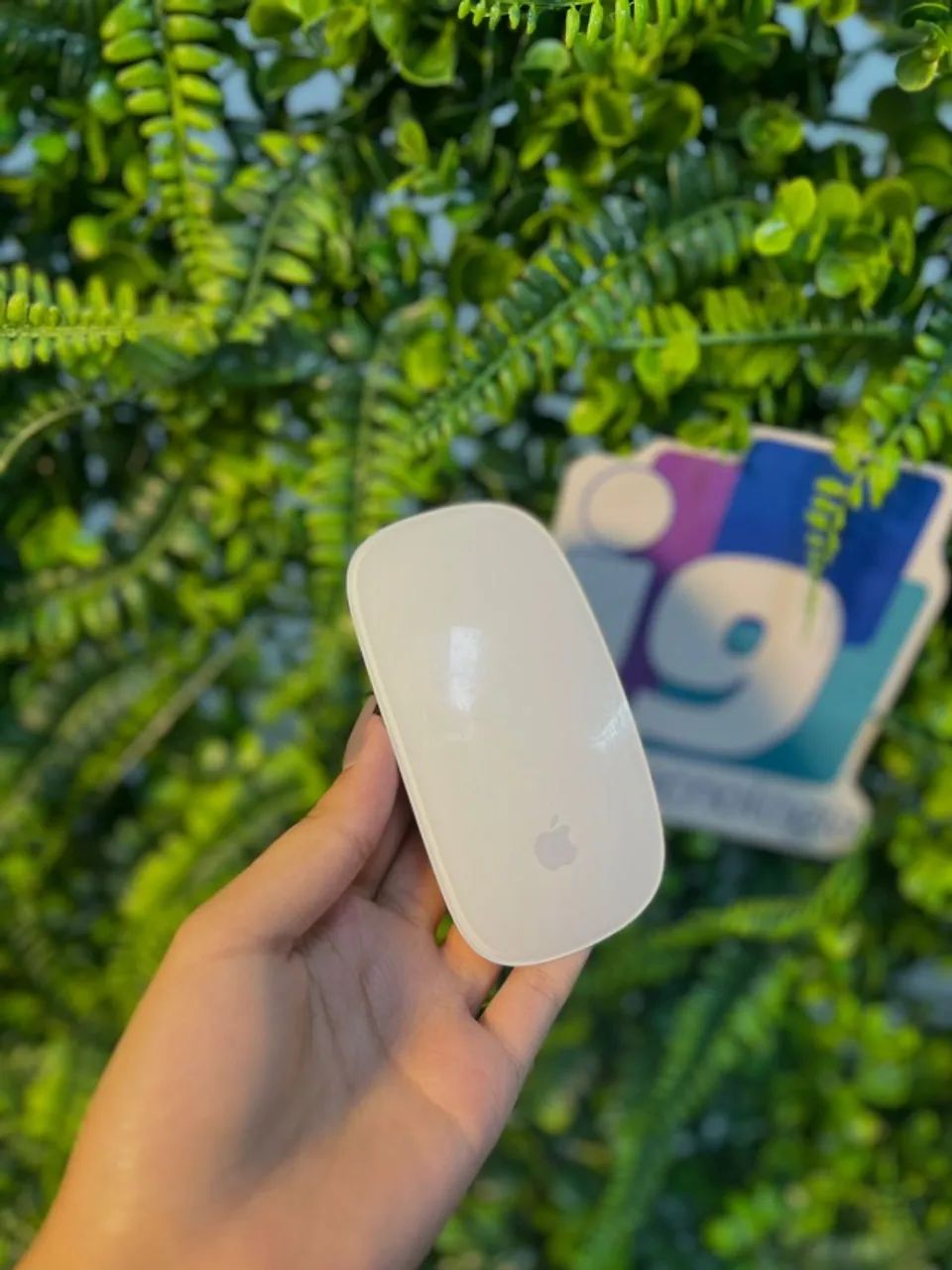 Magic Mouse   A pilha A1296   Seminovo com garantia