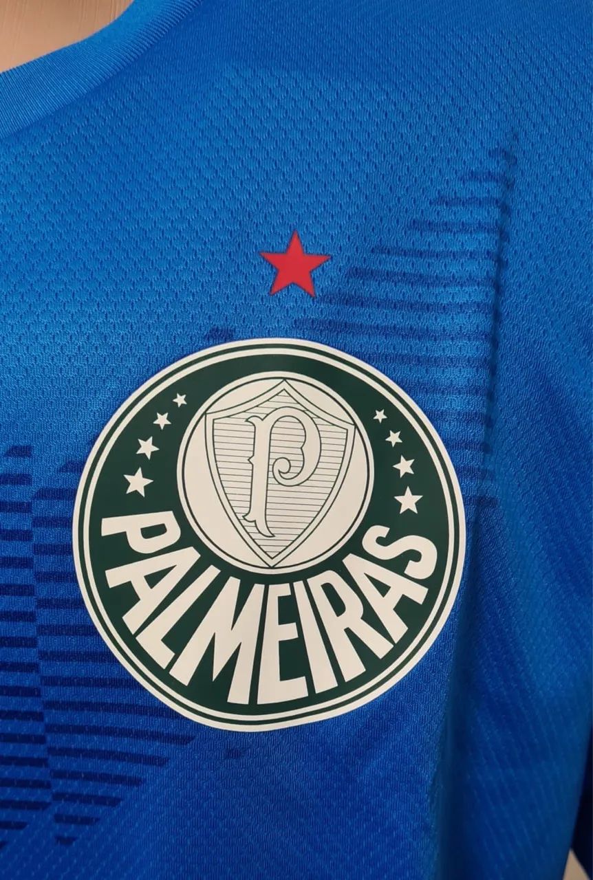 Palmeiras 64299344636291121